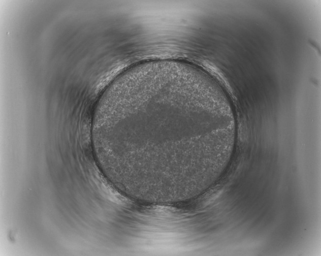 X0000101480393200808041133