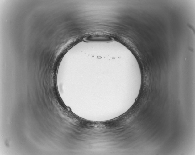 X0000101480395200808041133