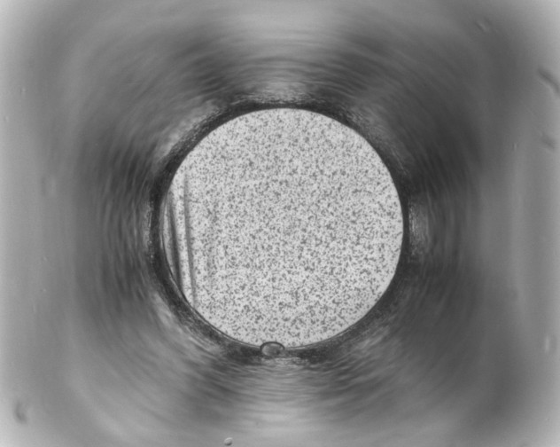 X0000101480396200808041133