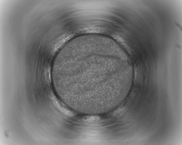 X0000101480398200808041133