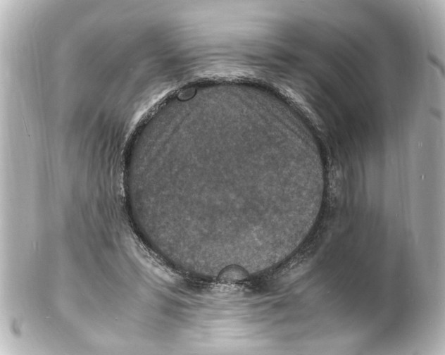 X0000101480399200808041133