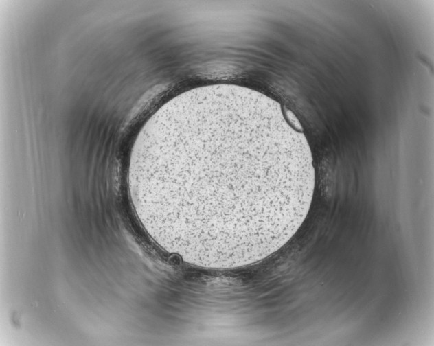 X0000101480400200808041133