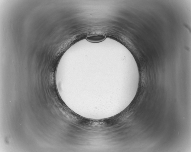 X0000101480401200808041133