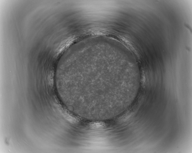 X0000101480402200808041133