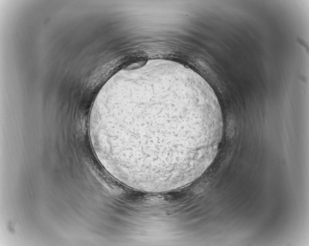 X0000101480405200808041133