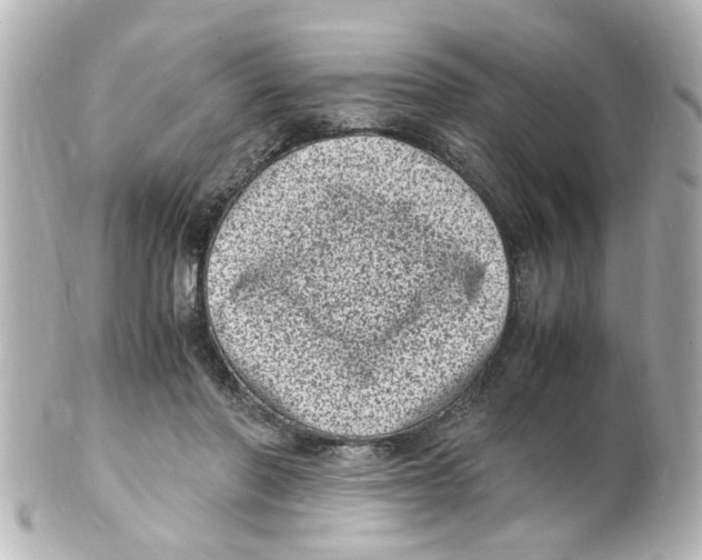 X0000101480406200808041133