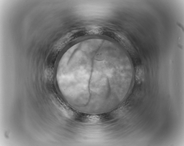 X0000101480409200808041133