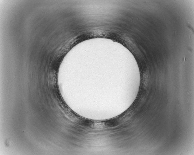 X0000101480413200808041132