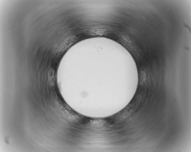 X0000101480414200808041132