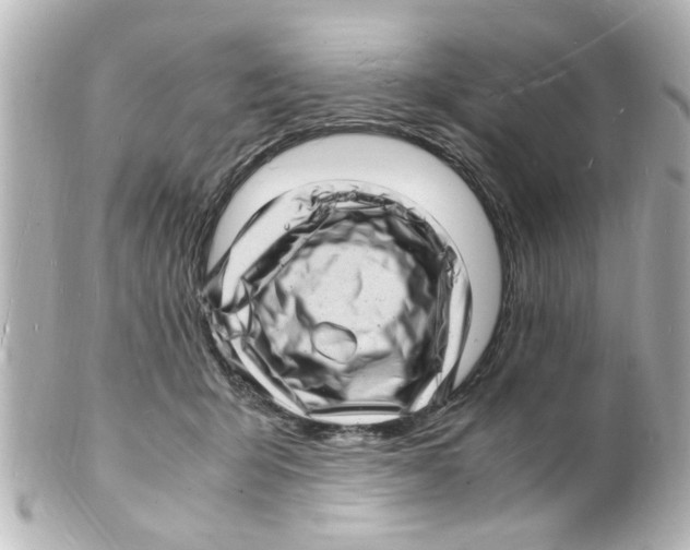 X0000101480415200808041132