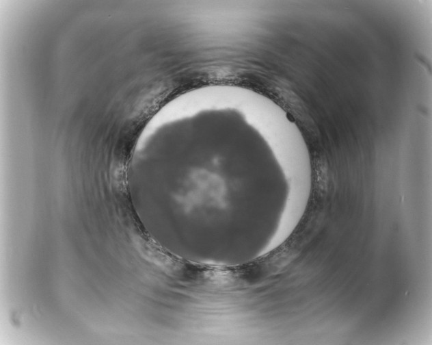 X0000101480419200808041132