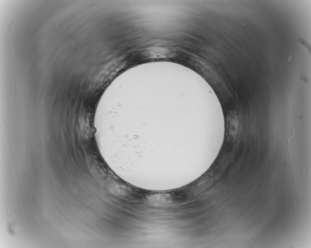 X0000101480422200808041132