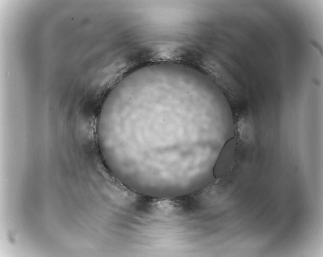 X0000101480423200808041132