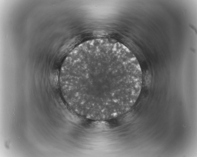 X0000101480427200808041132