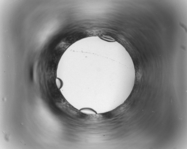 X0000101480429200808041132