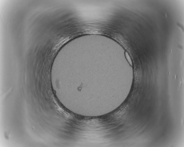 X0000101480433200808041132