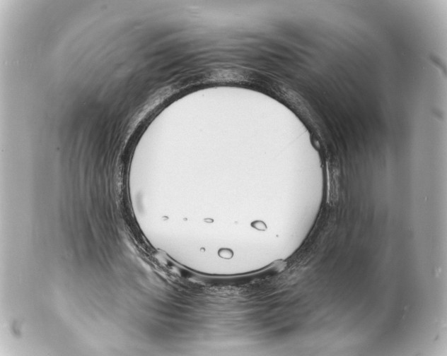 X0000101480435200808041132