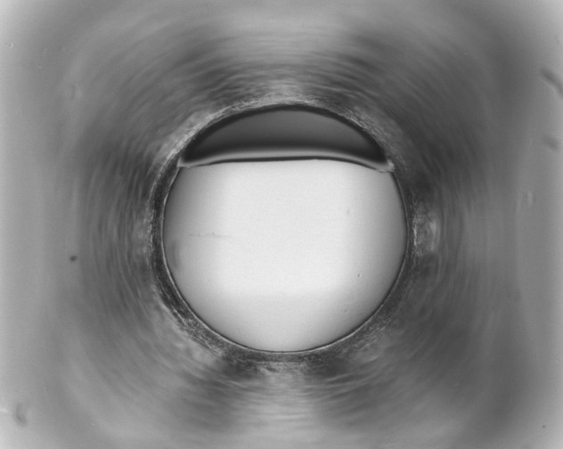 X0000101480436200808041132