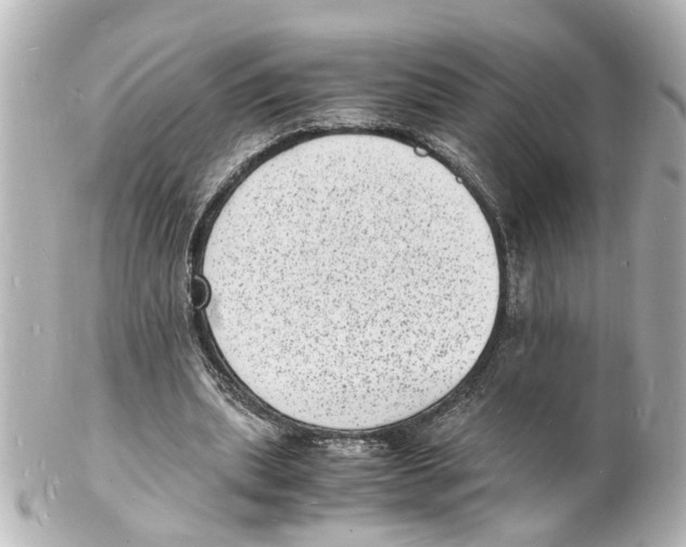 X0000101480439200808041132