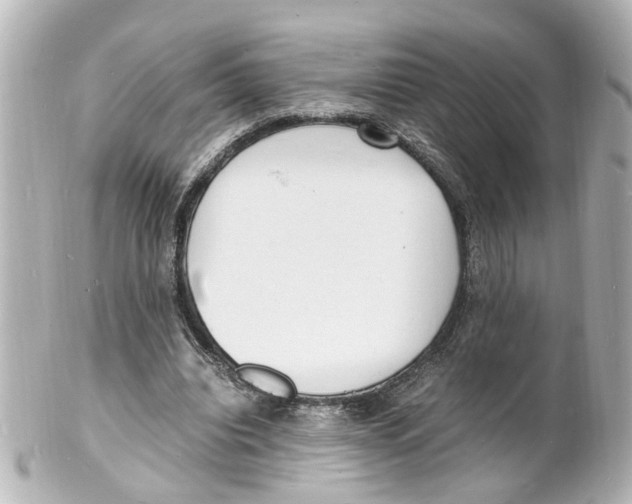 X0000101480440200808041132