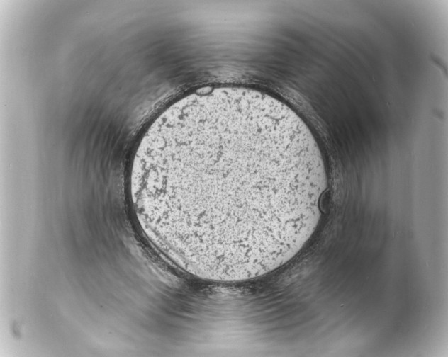 X0000101480442200808041132