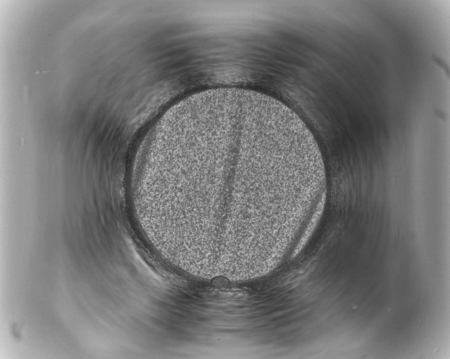 X0000101480443200808041132