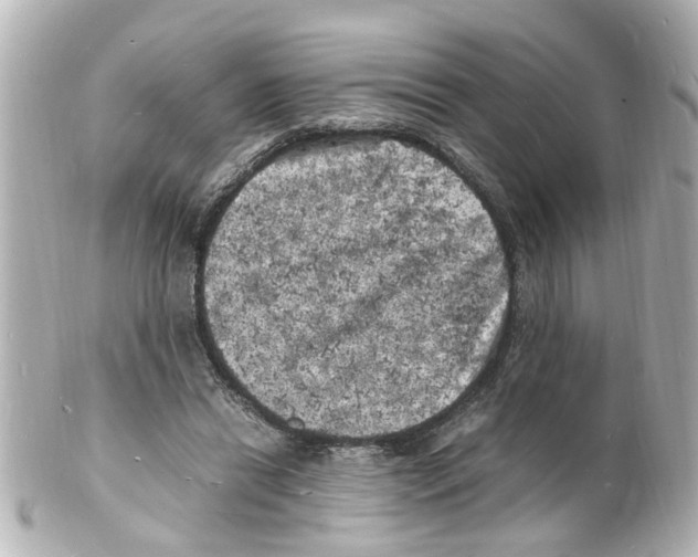 X0000101480446200808041132