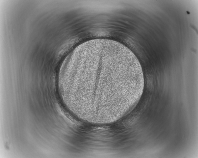 X0000101480447200808041132