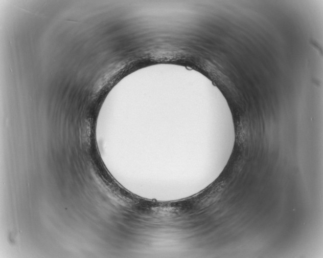 X0000101480448200808041132