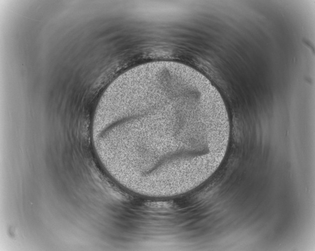 X0000101480449200808041132