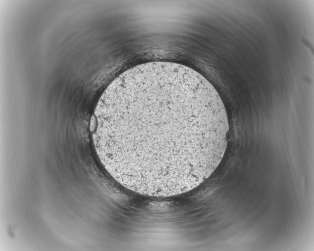 X0000101480450200808041132