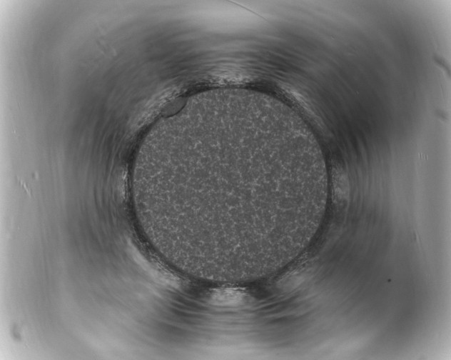 X0000101480451200808041132