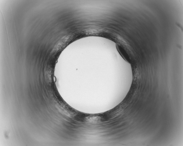 X0000101480452200808041132