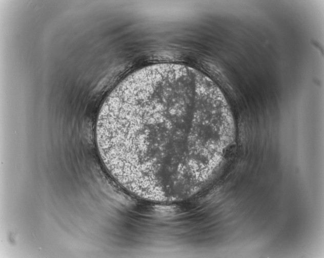 X0000101480457200808041132