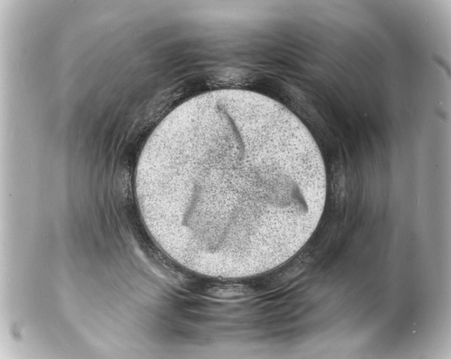 X0000101480459200808041132