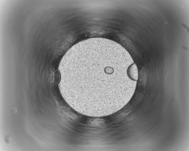 X0000101480463200808041132