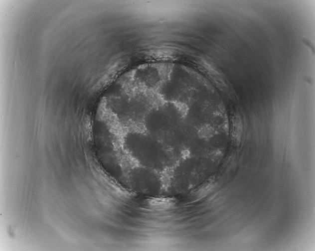 X0000101480465200808041132