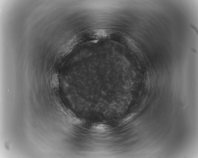 X0000101480467200808041132