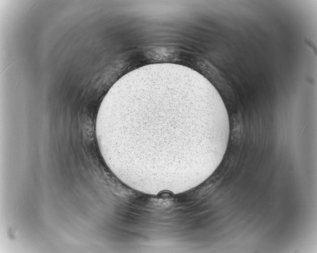 X0000101480469200808041132