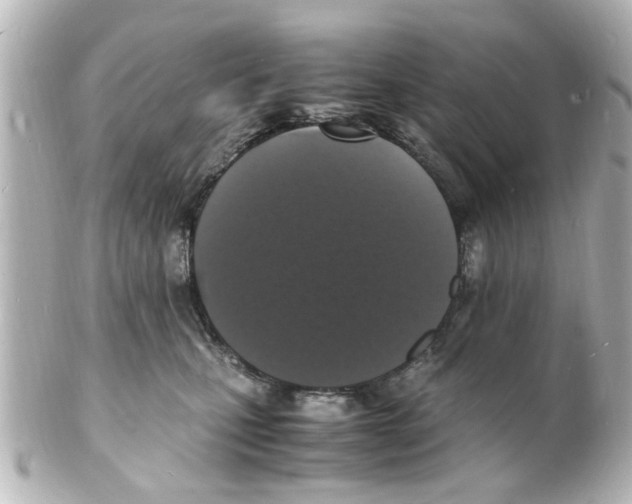 X0000101480471200808041132