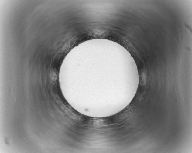 X0000101480472200808041132