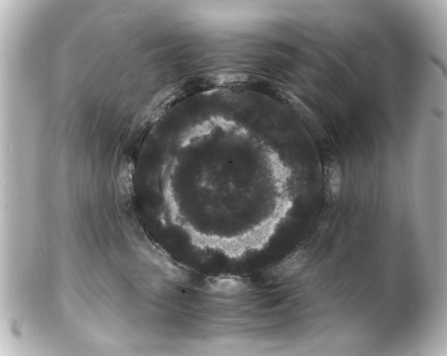 X0000101480475200808041132