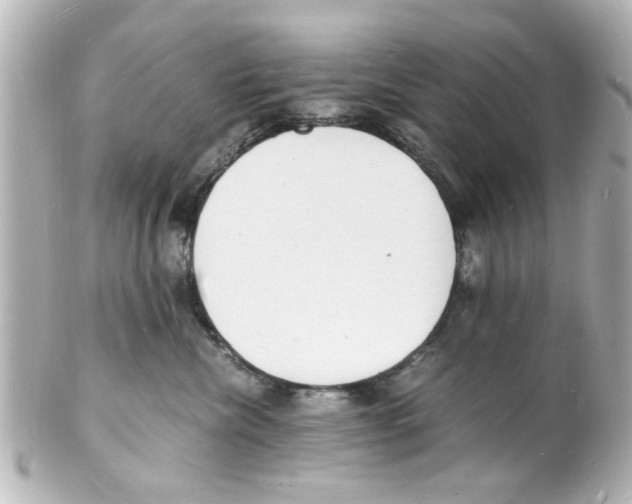 X0000101480476200808041132