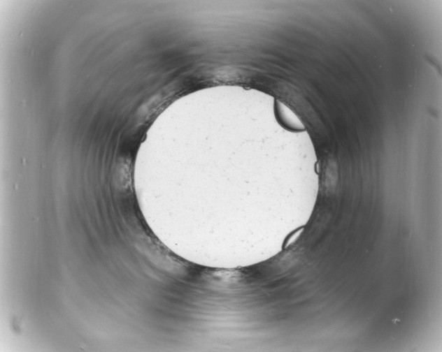 X0000101480478200808041132