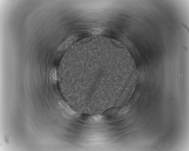 X0000101480479200808041132