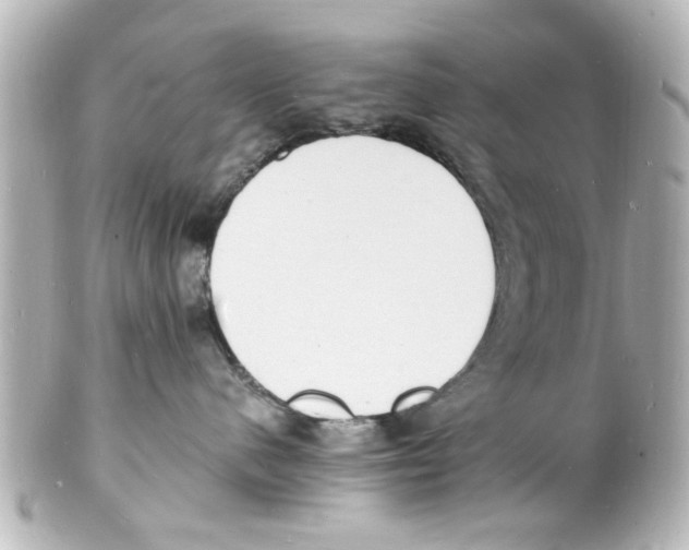 X0000101480480200808041132