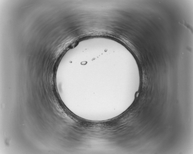 X0000101480485200808041131