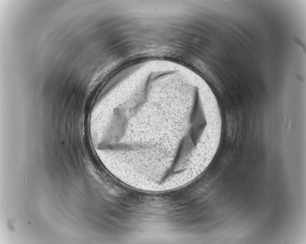 X0000101480486200808041131