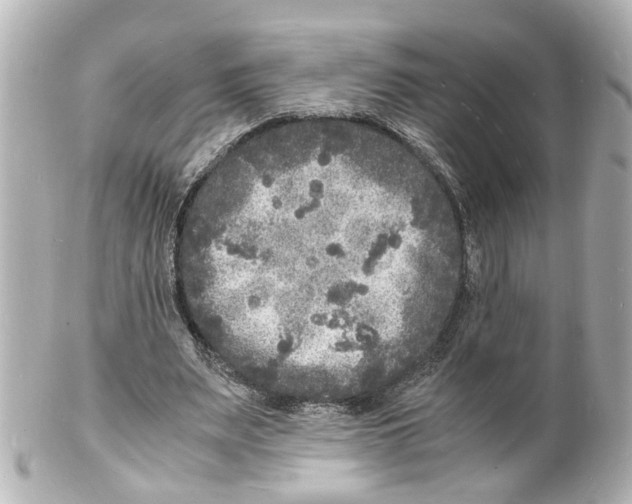 X0000101480487200808041131