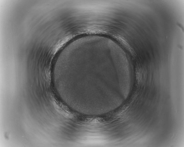 X0000101480488200808041131